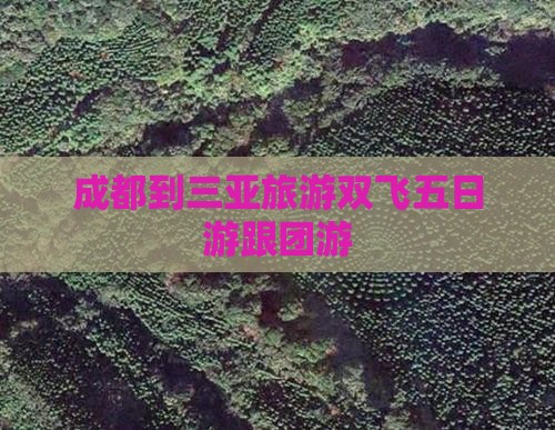 成都出发三亚海棠湾旅行社
