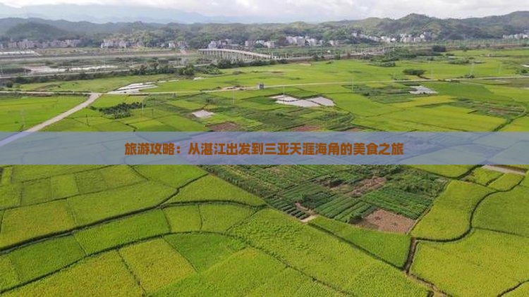 湛江出发三亚天涯海角旅游小吃