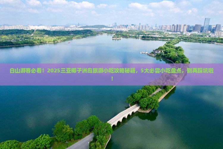白山前往三亚椰子洲岛旅游小吃