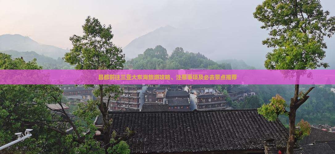 昌都前往三亚大东海旅游