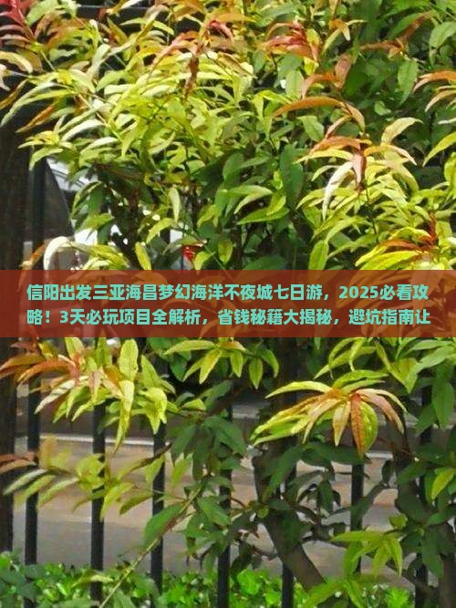 信阳出发三亚海昌梦幻海洋不夜城七日游