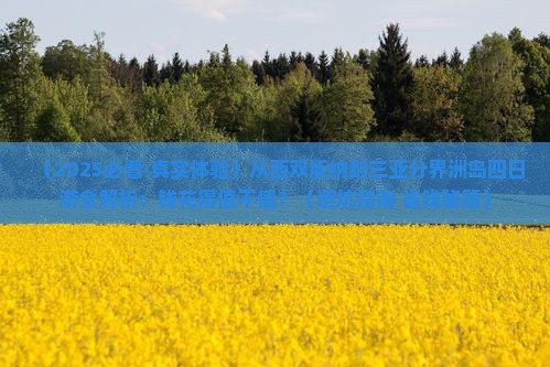 西双版纳前往三亚分界洲岛四日游