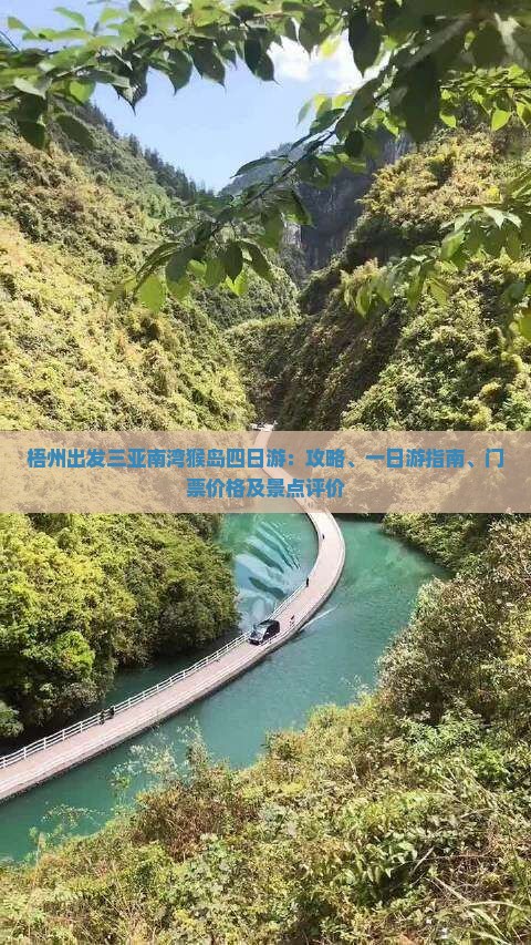 梧州出发三亚南湾猴岛四日游