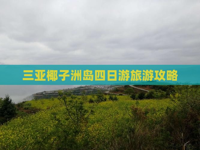 朔州前往三亚椰子洲岛四日游