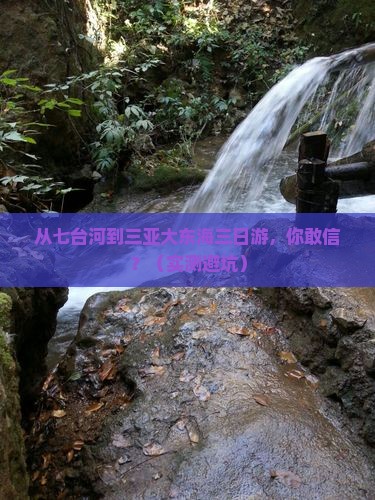 七台河去三亚大东海三日游
