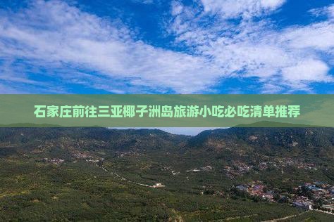 石家庄前往三亚椰子洲岛旅游小吃