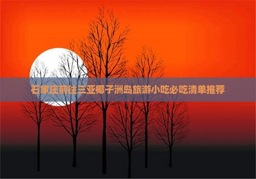 石家庄前往三亚椰子洲岛旅游小吃