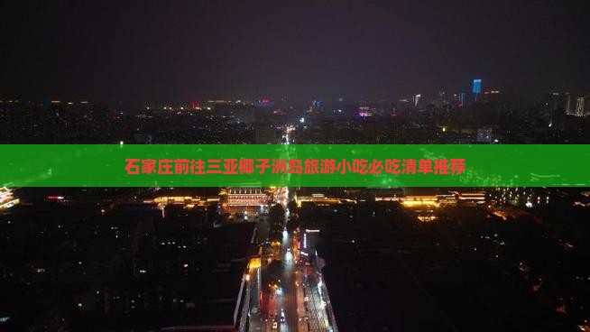 石家庄前往三亚椰子洲岛旅游小吃