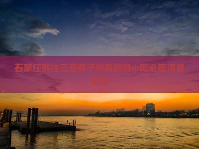 石家庄前往三亚椰子洲岛旅游小吃