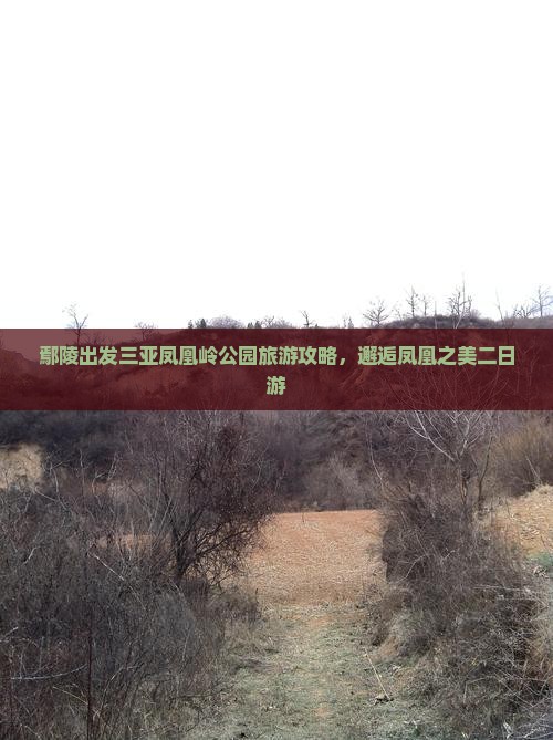 鄢陵县出发三亚凤凰岭公园二日游