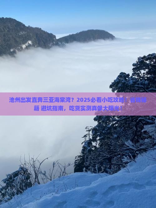池州前往三亚海棠湾旅游小吃