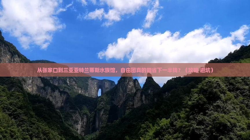 张家口去三亚亚特兰蒂斯水族馆自由团