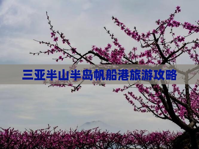 通化前往三亚半山半岛帆船港攻略