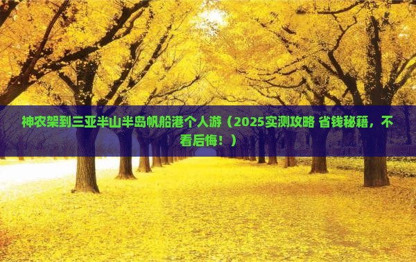 神农架前往三亚半山半岛帆船港个人游