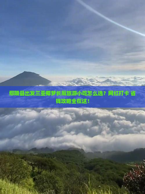 鄢陵县出发三亚椰梦长廊旅游小吃