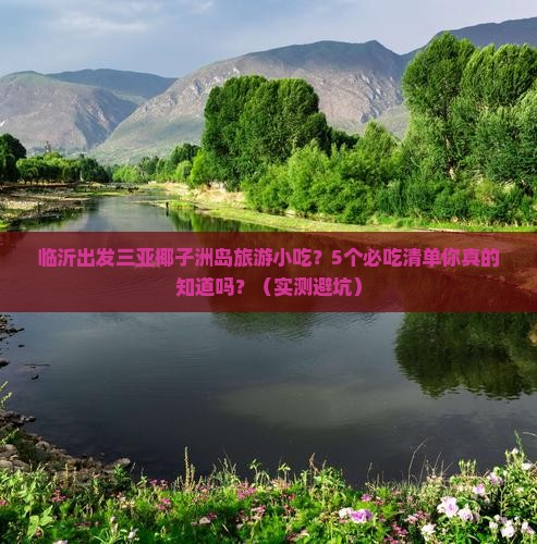 临沂出发三亚椰子洲岛旅游小吃