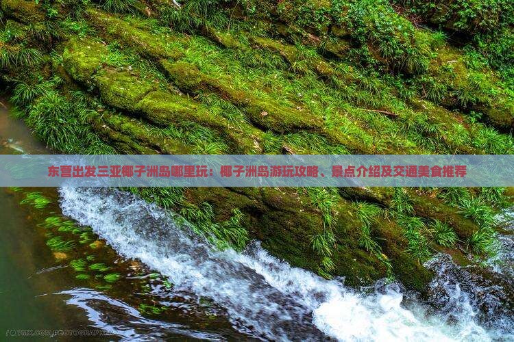东营出发三亚椰子洲岛哪里玩