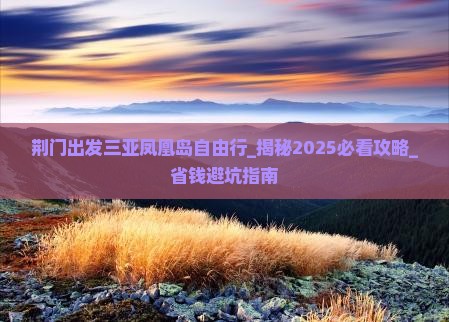 荆门出发三亚凤凰岛自由行