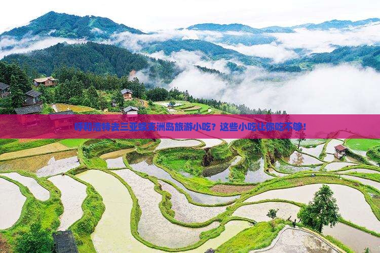 呼和浩特去三亚蜈支洲岛旅游小吃