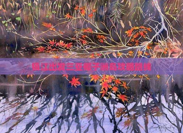 镇江出发三亚椰子洲岛攻略
