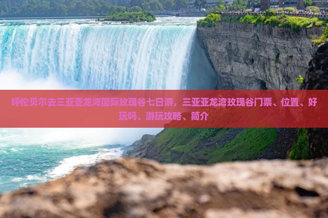 呼伦贝尔去三亚亚龙湾国际玫瑰谷七日游