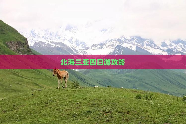 北海出发三亚后海四日游