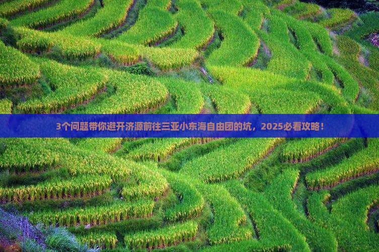 济源前往三亚小东海自由团 济源前往三亚小东海自由团