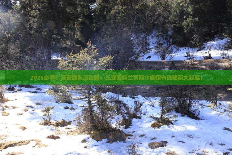 延安前往三亚亚特兰蒂斯水族馆团体旅游
