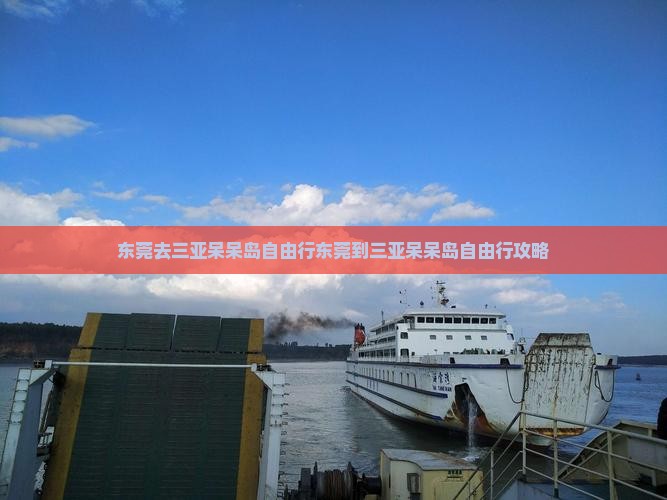 东莞去三亚呆呆岛自由行