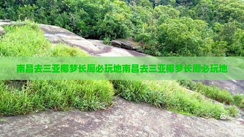南昌去三亚椰梦长廊必玩地