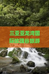 大连前往三亚亚龙湾国际玫瑰谷哪里玩