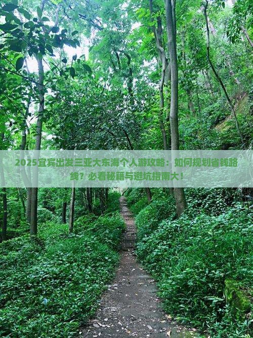 宜宾出发三亚大东海个人游