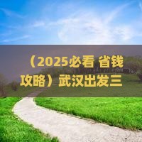 武汉出发三亚蜈支洲岛旅游小吃