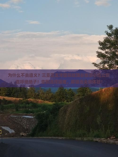 遵义前往三亚亚龙湾国际玫瑰谷旅游小吃