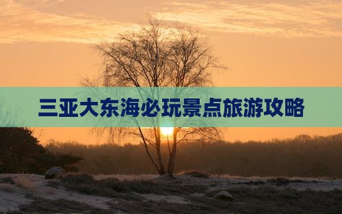 大兴安岭去三亚大东海必玩地