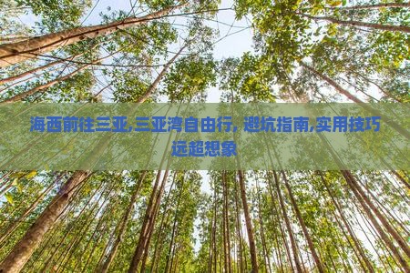 海西前往三亚三亚湾自由行