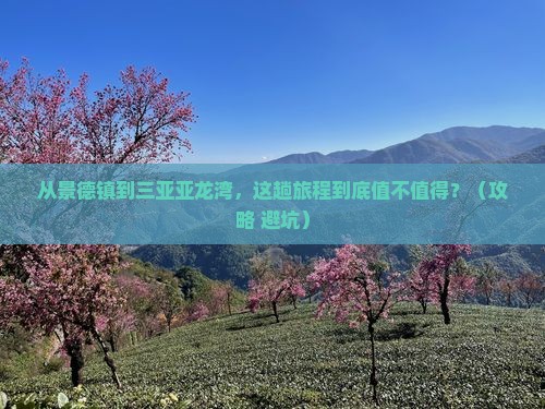 景德镇前往三亚亚龙湾旅游