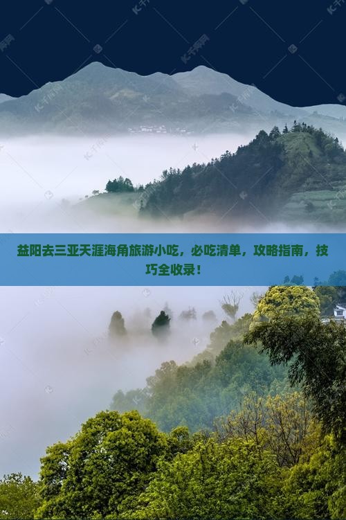 益阳去三亚天涯海角旅游小吃