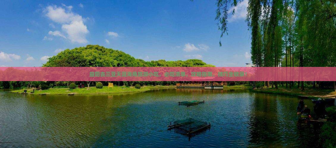 益阳去三亚天涯海角旅游小吃