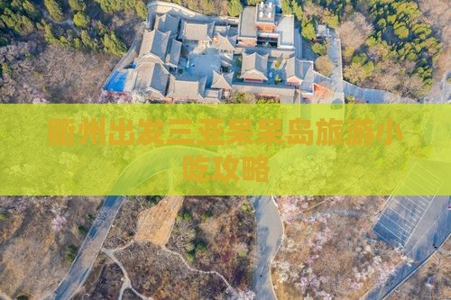 衢州出发三亚呆呆岛旅游小吃