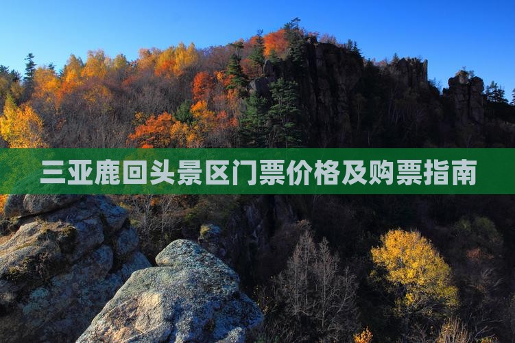 霍邱前往三亚鹿回头门票