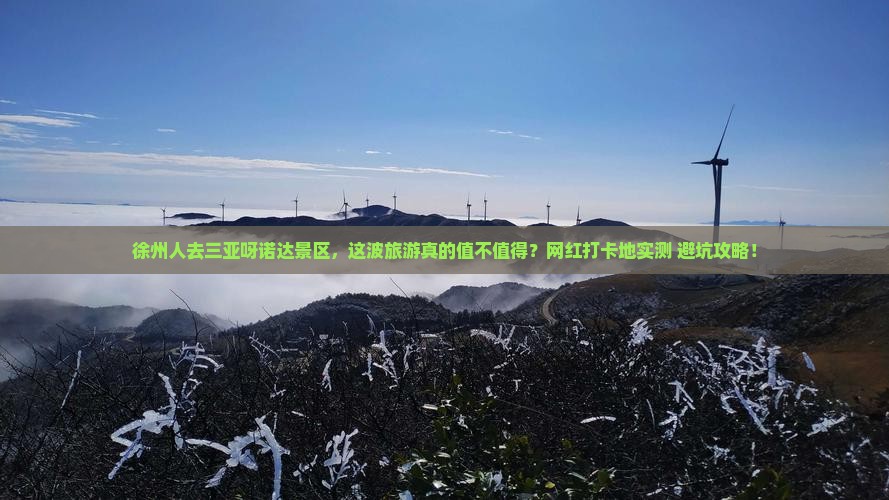 徐州去三亚呀诺达景区旅游网红地点