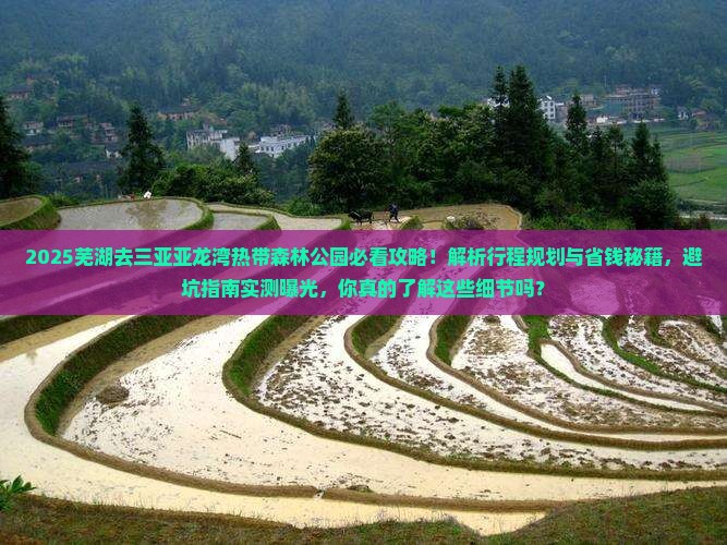 芜湖去三亚亚龙湾热带森林公园攻略