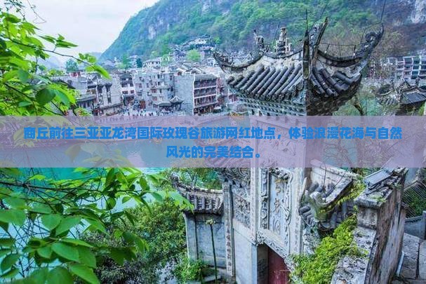 商丘前往三亚亚龙湾国际玫瑰谷旅游网红地点