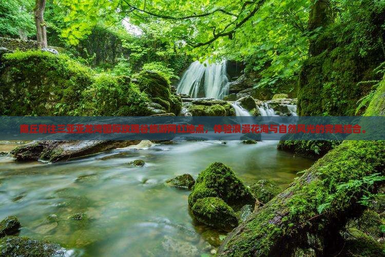 商丘前往三亚亚龙湾国际玫瑰谷旅游网红地点