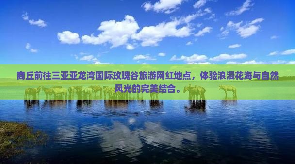 商丘前往三亚亚龙湾国际玫瑰谷旅游网红地点