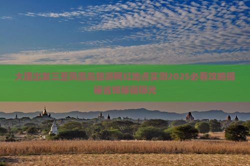 大理出发三亚凤凰岛旅游网红地点