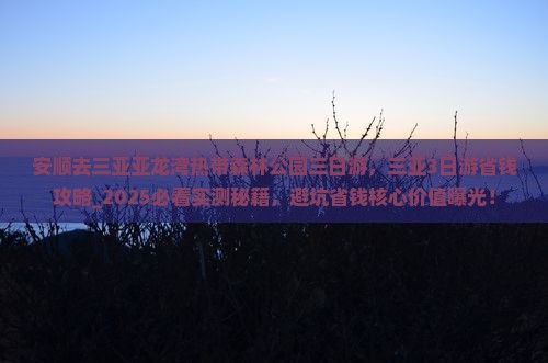 安顺去三亚亚龙湾热带森林公园三日游