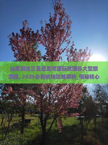 汕尾前往三亚亚龙湾国际玫瑰谷大型旅游团