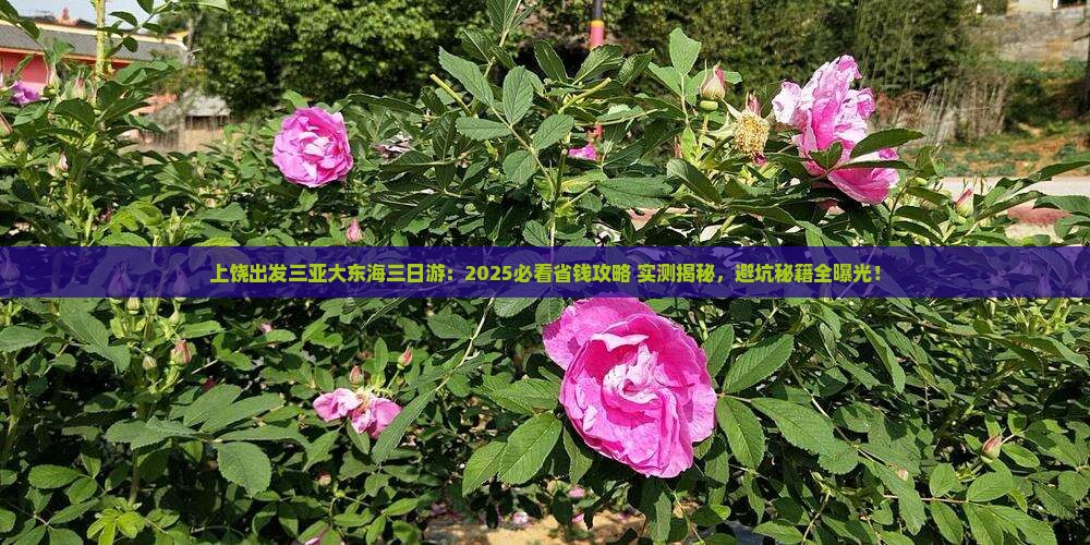 上饶出发三亚大东海三日游